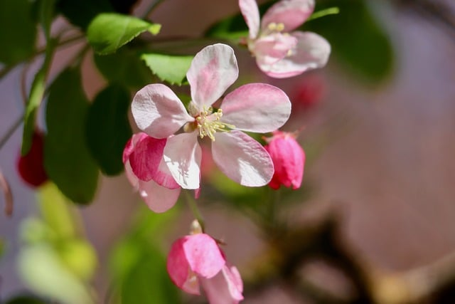 2026边路英雄强度排行怎么看更靠谱我用实战数据帮你避开上分误区