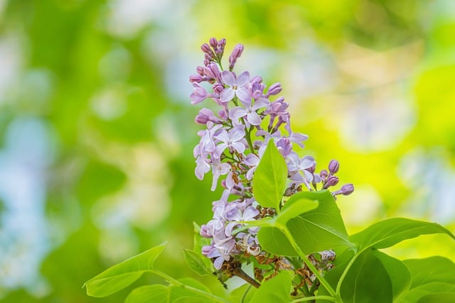 梦幻手游攻略:少走弯路的养成思路,普通玩家也能稳稳追上进度 梦幻手游攻略:少走弯路的养成思路,普通玩家也能稳稳追上进度