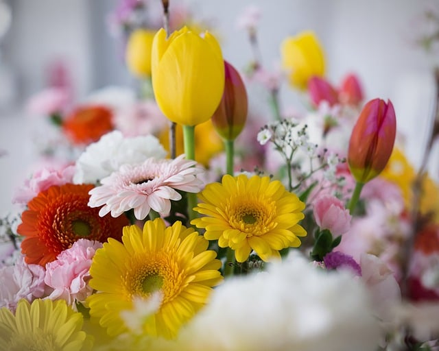 老玩家不轻易外传的你的江湖隐藏任务攻略大全,少走弯路这一篇就够了 老玩家不轻易外传的你的江湖隐藏任务攻略大全,少走弯路这一篇就够了