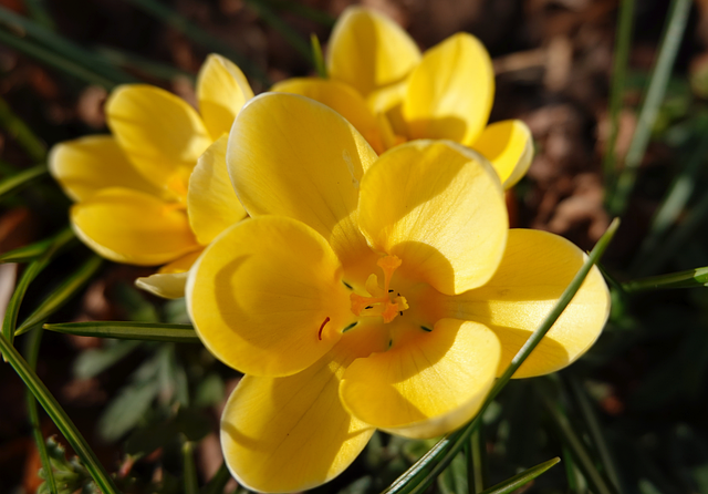游戏pvp是啥意思-新手一看就懂的对战解释