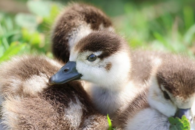 2026年pvp竞技手游推荐-按上分效率选对游戏不踩坑