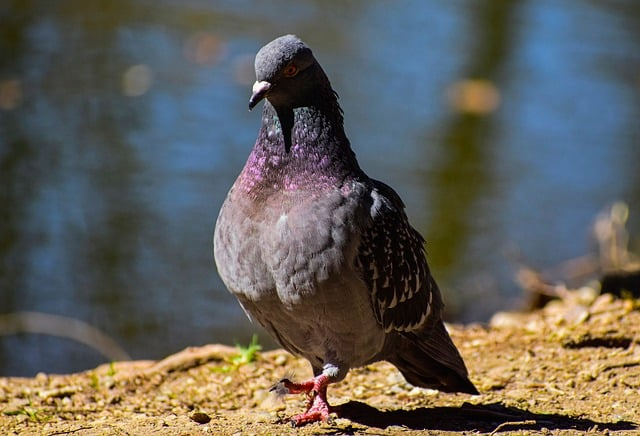 pvp是什么游戏-一文讲清玩法规则与入坑选择