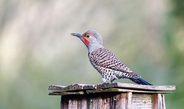 装备强化问题总出错怎么办-常见原因与排查流程
